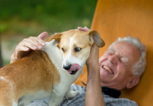 Our approach to Alzheimer's care Rome involves several approaches including pet therapy